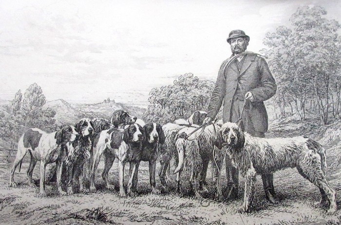 Les chiens de M. Frossard en 1863 - Don de M. F. Couëtoux du Tertre à la Société de Vènerie